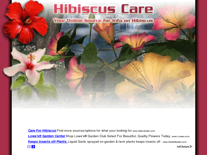 www.hibiscuscare.net