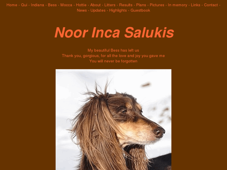 www.noorinca.com