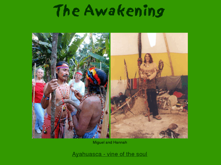 www.the-awakening.net