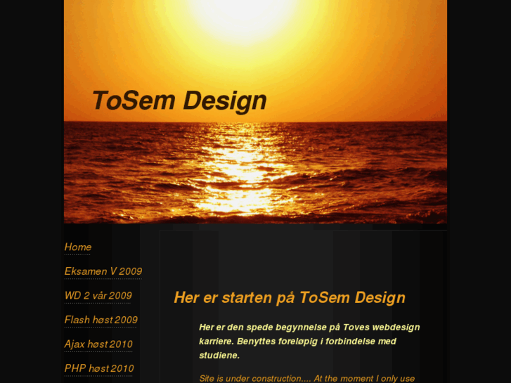 www.tosemdesign.com