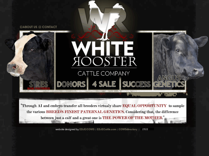 www.whiteroostercattle.com