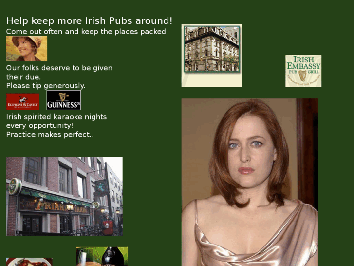 www.irishpubsonline.info