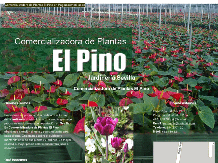 www.plantaselpino.com