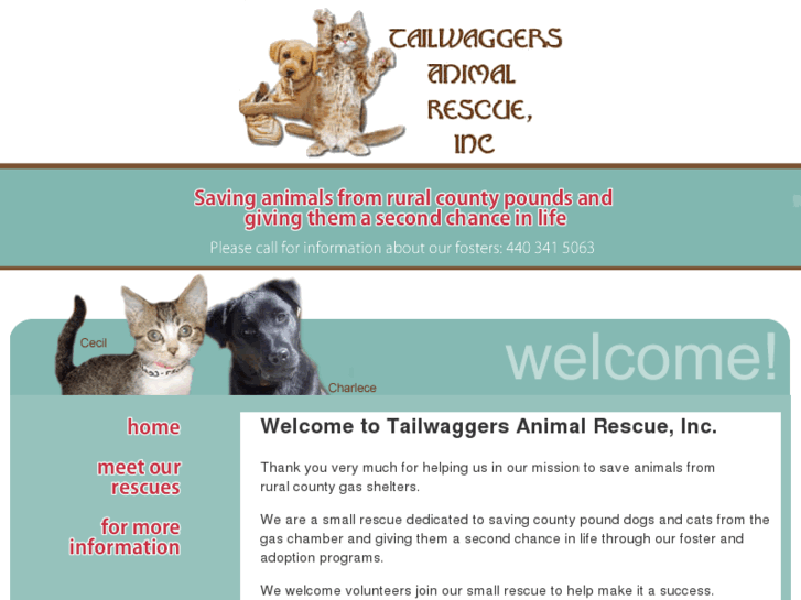 www.tailwaggersanimalrescue.com