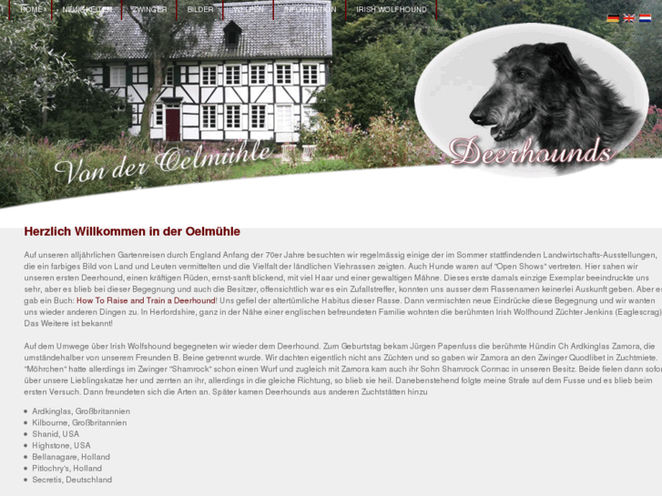 www.von-der-oelmuhle-deerhounds.de