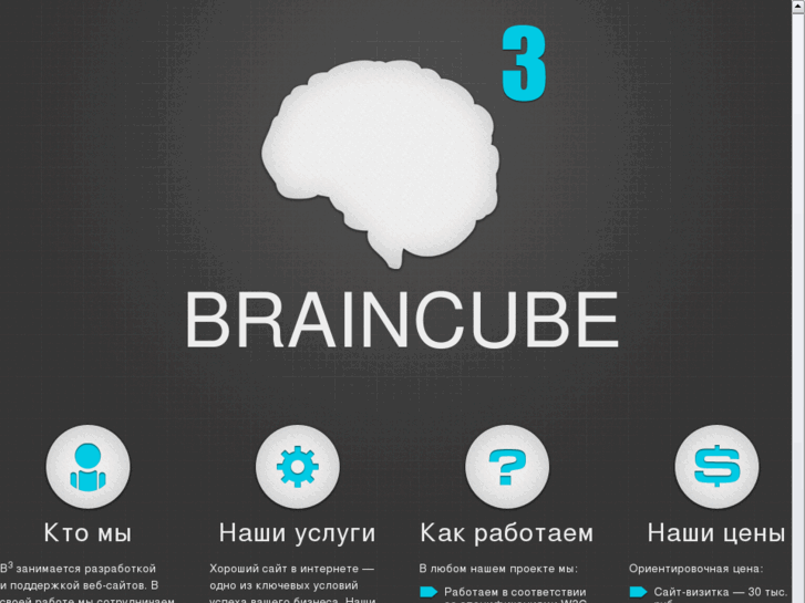 www.braincube.ru