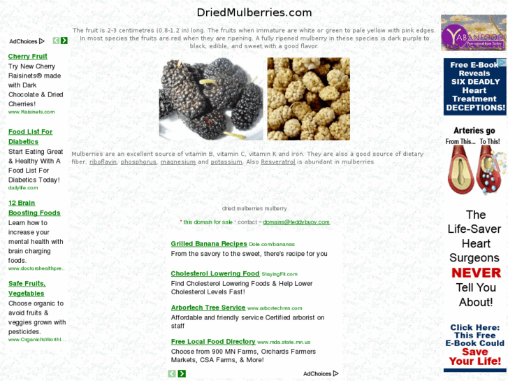 www.driedmulberries.com