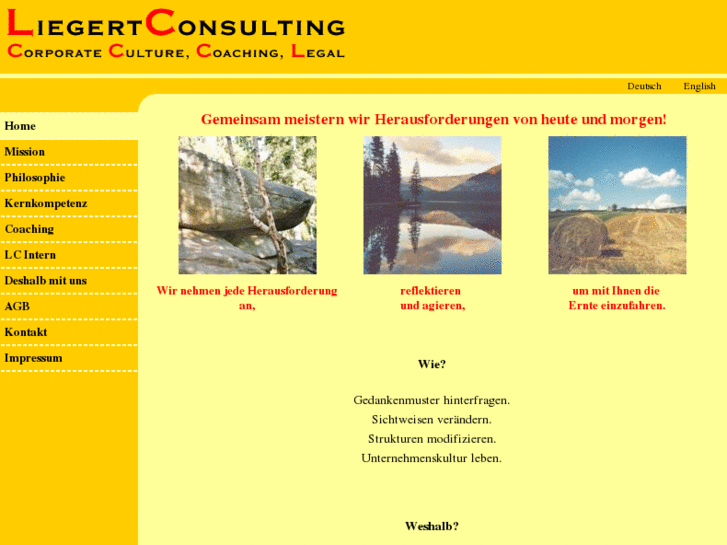 www.liegertconsulting.com