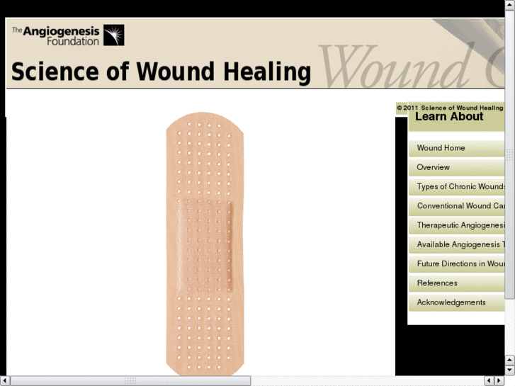 www.new-wound-therapy.com