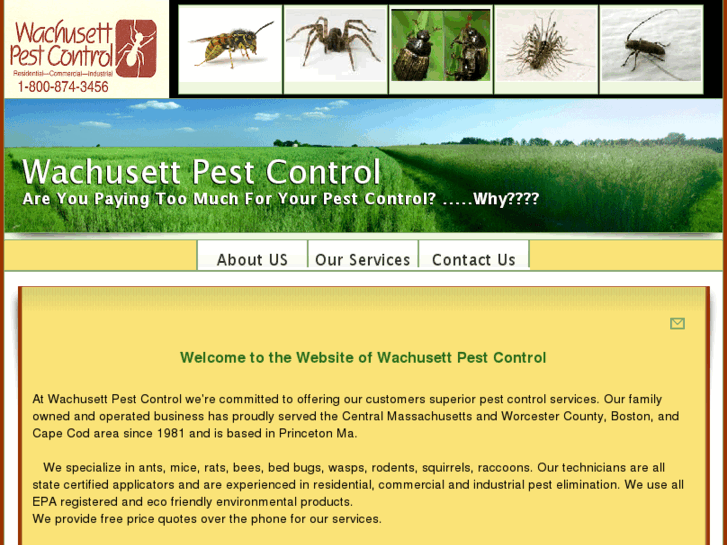 www.wachusettpestcontrol.com