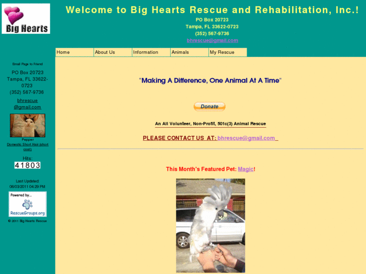 www.bigheartsrescue.org