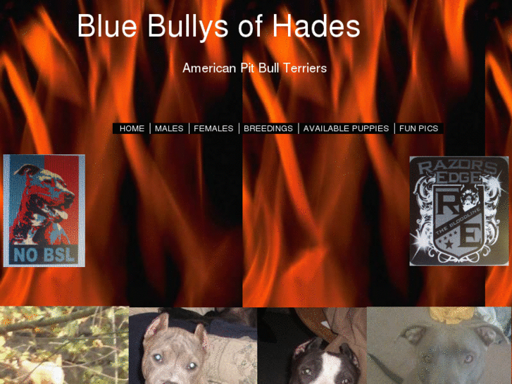 www.bluebullysofhades.com