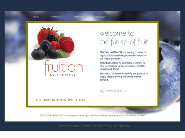 www.fruitionnw.com