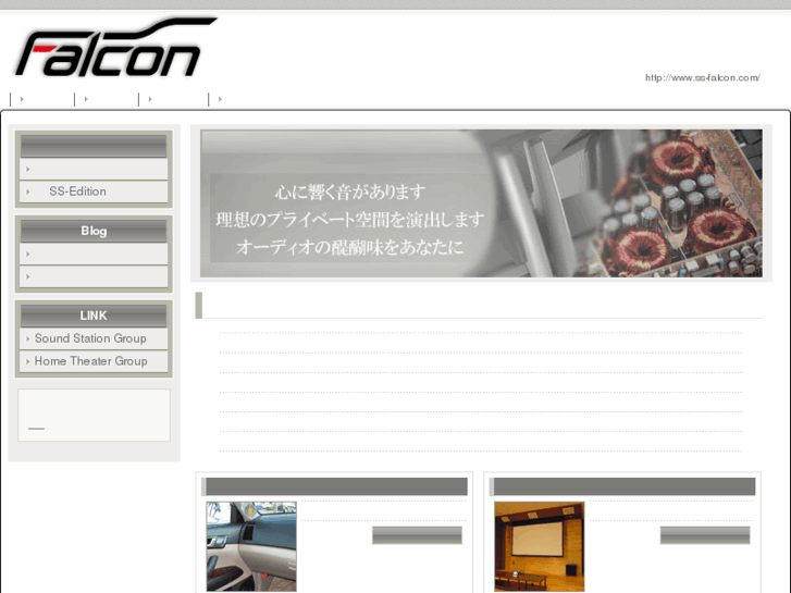 www.ss-falcon.com