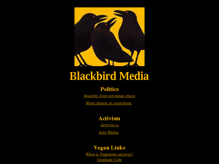 www.blackbirdmedia.org