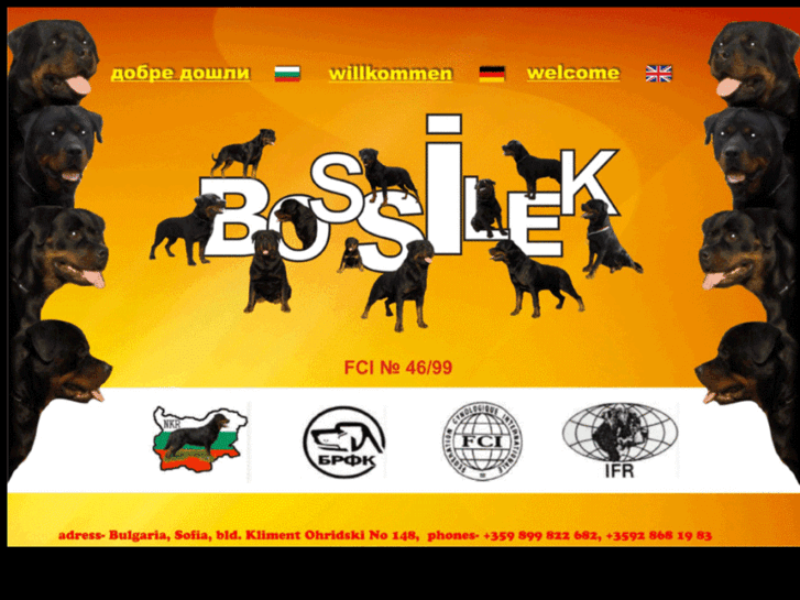 www.bossilek.com