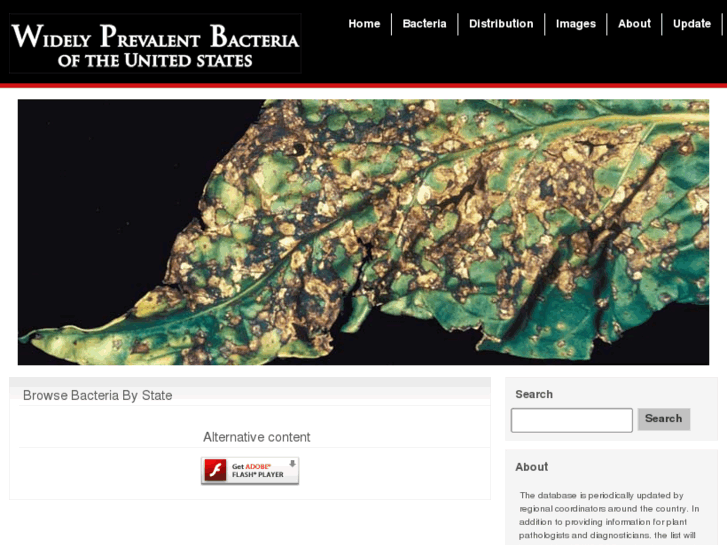 www.prevalentbacteria.org