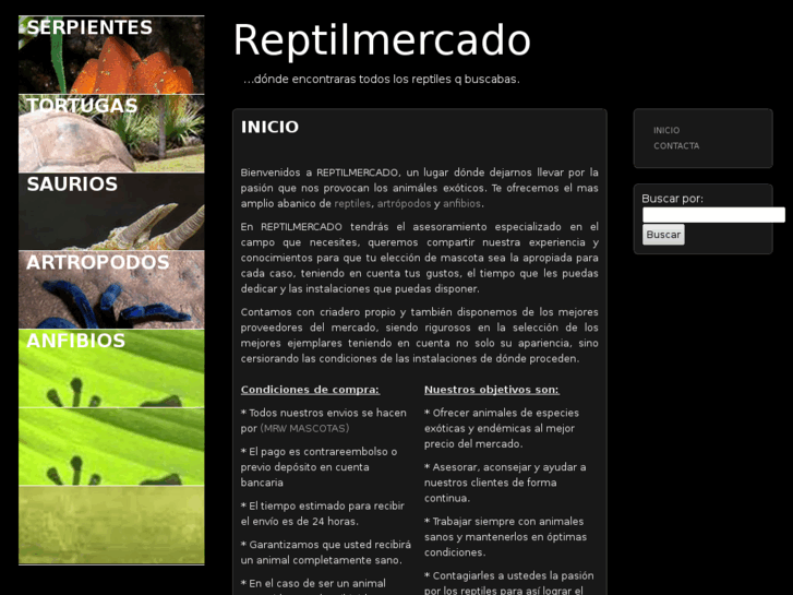 www.reptilmercado.com