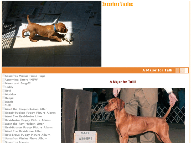 www.sassafrasvizslas.com