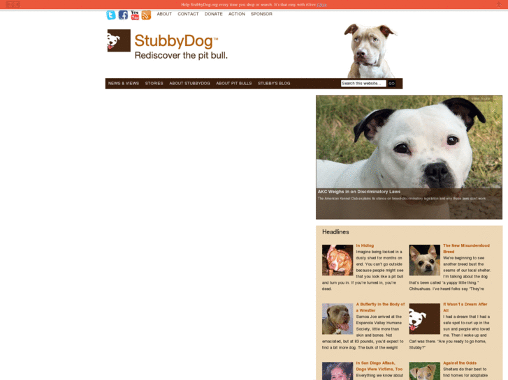 www.stubbydogs.org