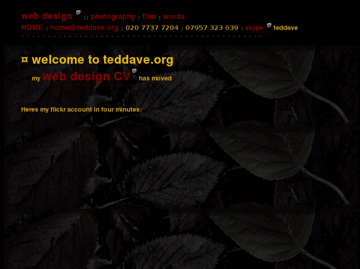 www.teddave.org