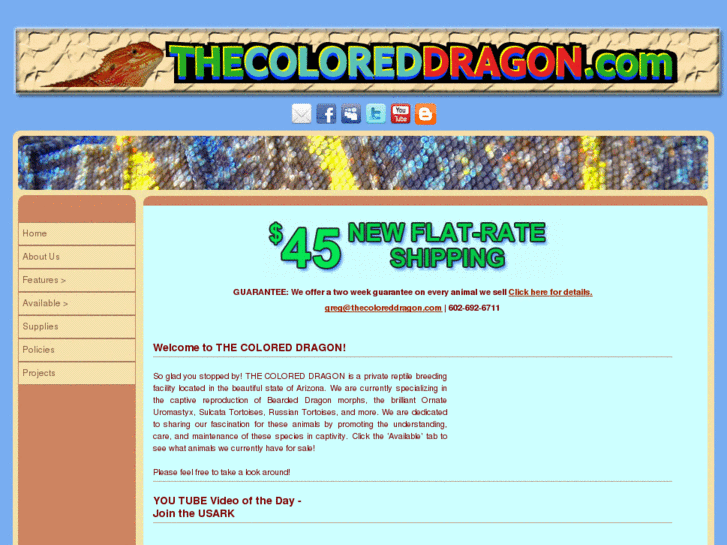 www.thecoloreddragon.com