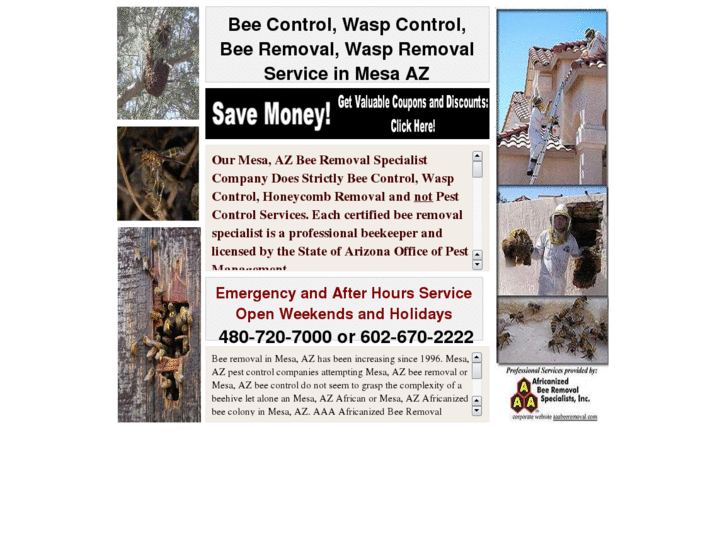 www.beecontrolmesaaz.com