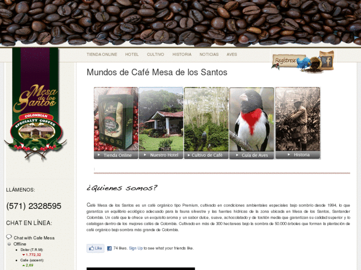 www.cafemesa.com