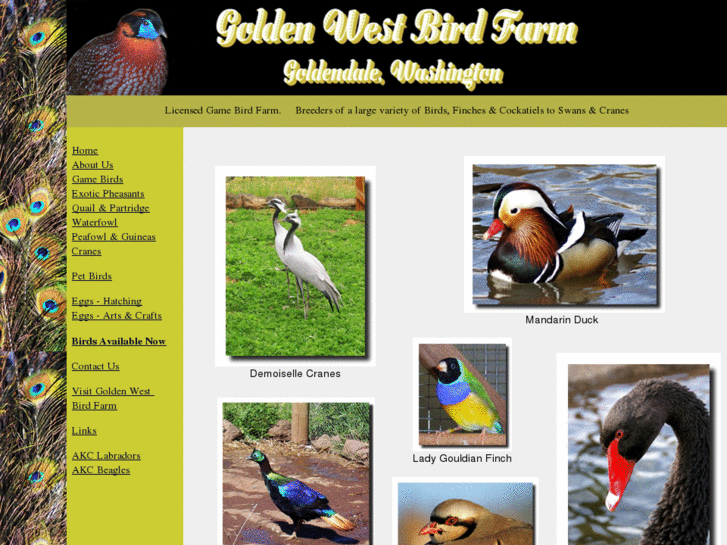 www.goldenwestbirdfarm.com