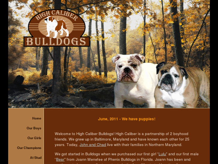 www.highcaliberbulldogs.com