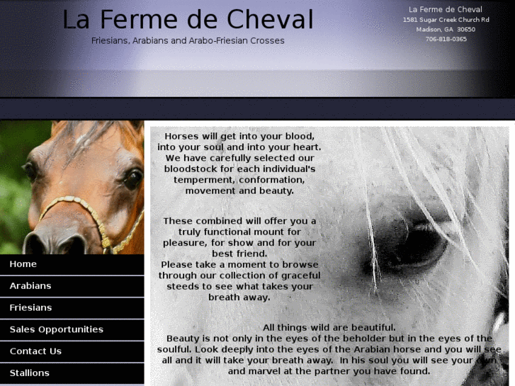 www.lafermedecheval.net