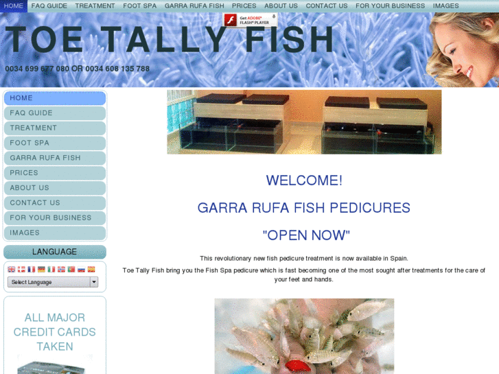 www.toetallyfish.com