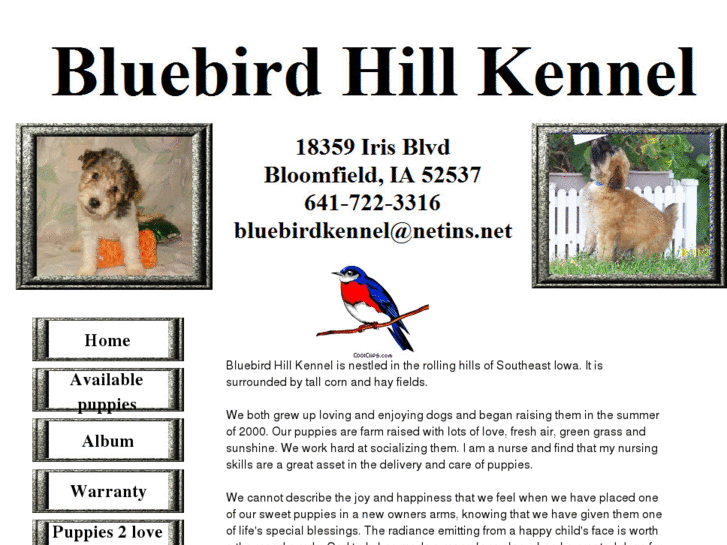 www.bluebirdhill.net