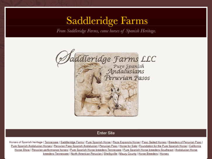 www.saddleridgefarms.com