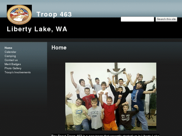 www.troop-463.com