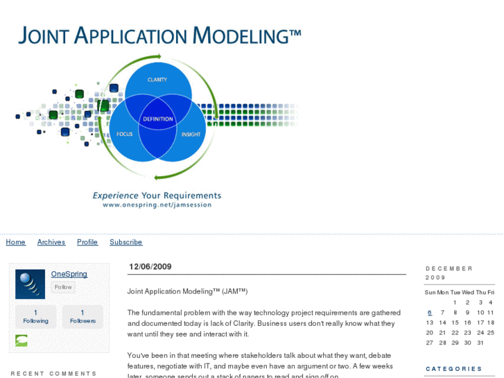 www.jointapplicationmodeling.com