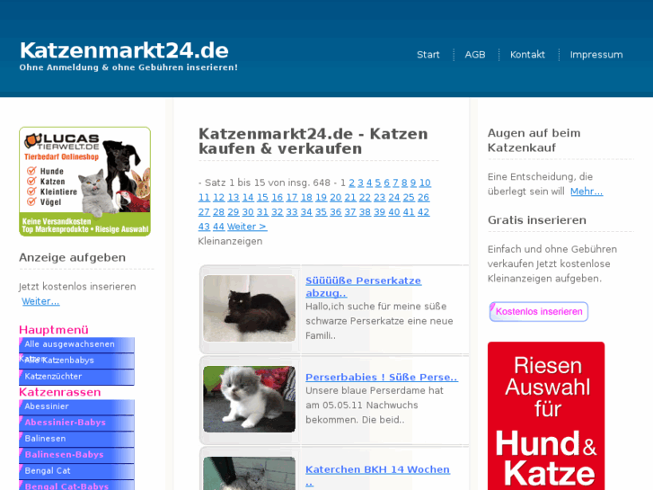 www.katzenmarkt24.de