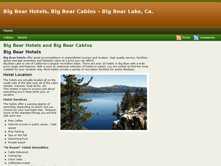 www.bigbearhotelscabins.com