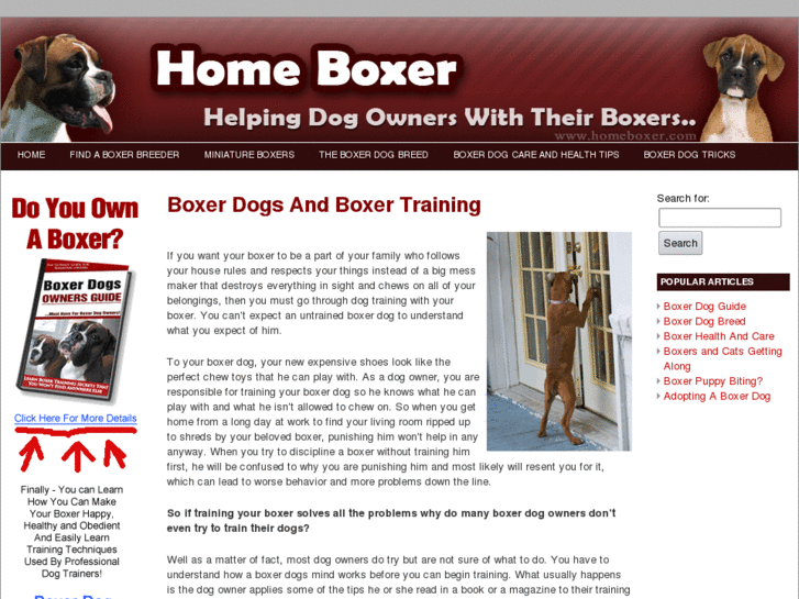 www.homeboxer.com