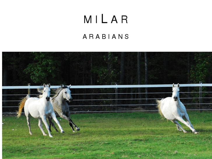 www.milararabians.com