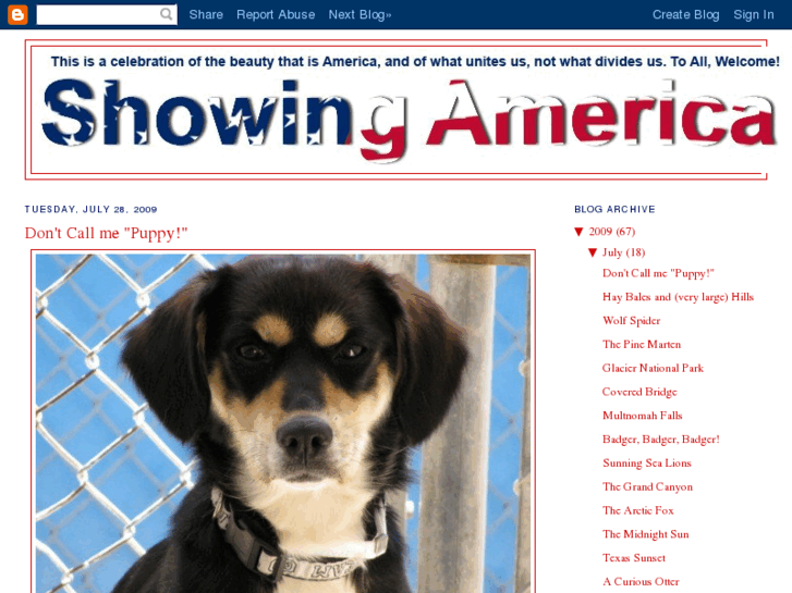 www.showingamerica.com