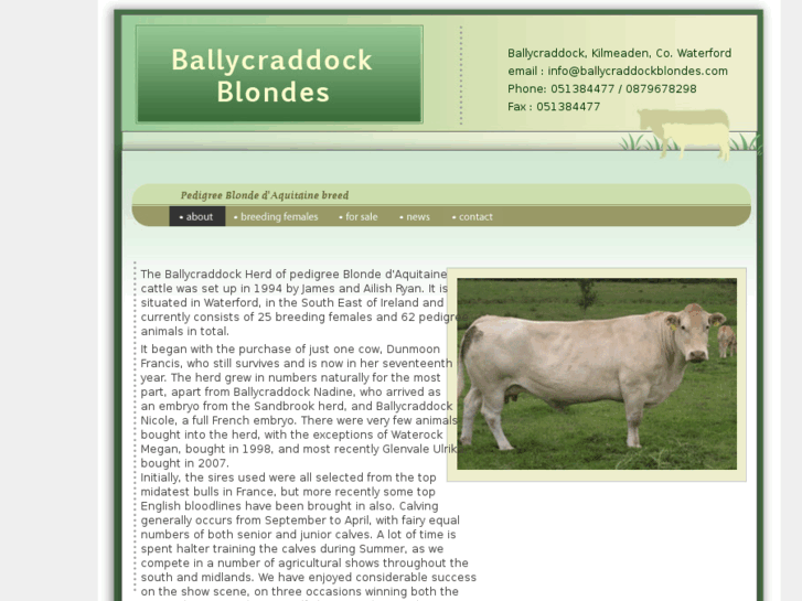 www.ballycraddockblondes.com