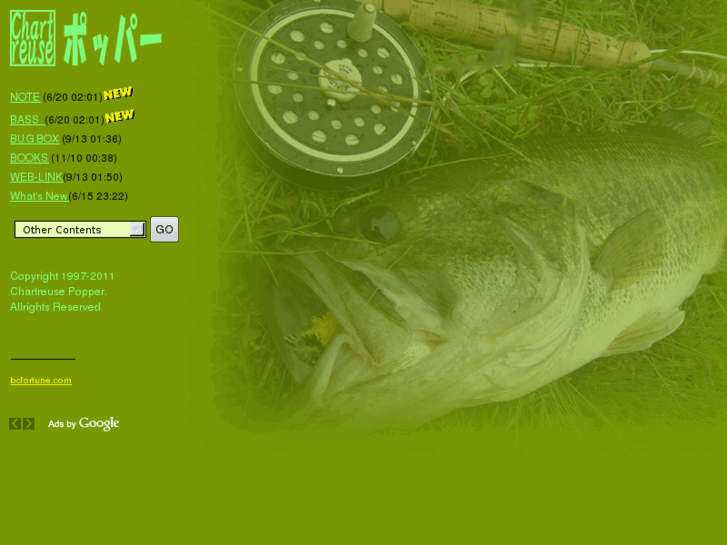 www.bassfly.com