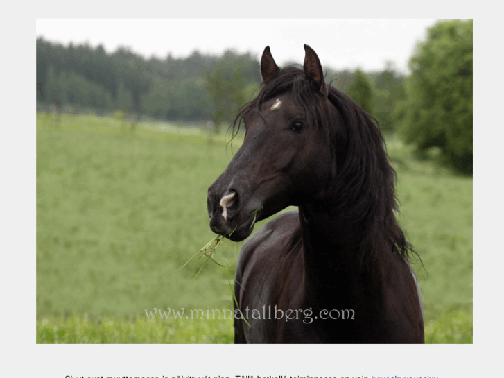 www.dressageriding.com