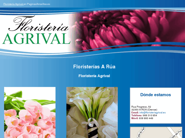 www.floristeriagrival.es