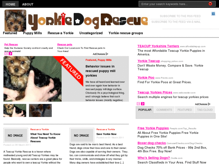 www.yorkiedogrescue.com