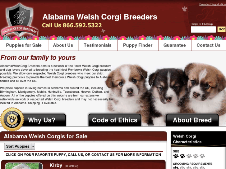 www.alabamawelshcorgibreeders.com