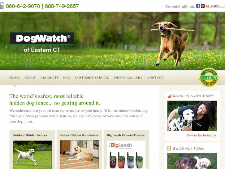 www.dogwatcheastct.com