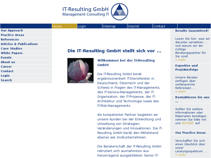 www.it-resulting.net