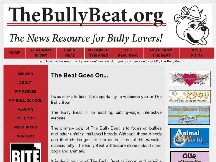 www.thebullybeat.org